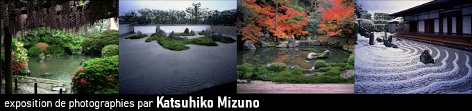 Quatre saisons des jardins de Kyoto
