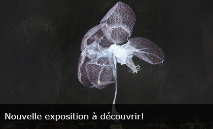 Exposition EXSICCATAE